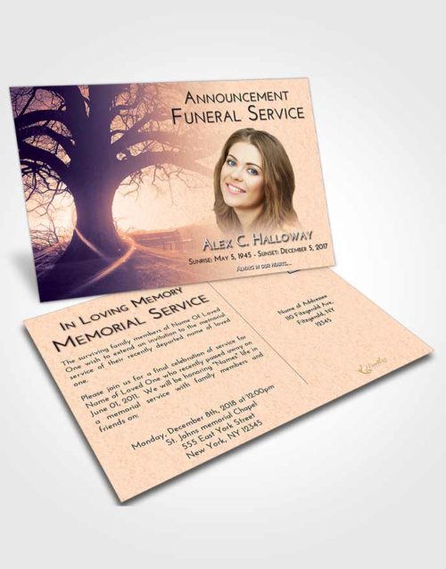 Funeral Announcement Card Template Lavender Sunset Tree Serenity