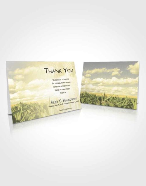 Funeral Thank You Card Template At Dusk Grassland