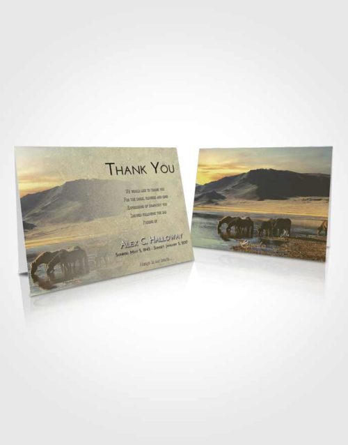 Funeral Thank You Card Template At Dusk Watering Hole