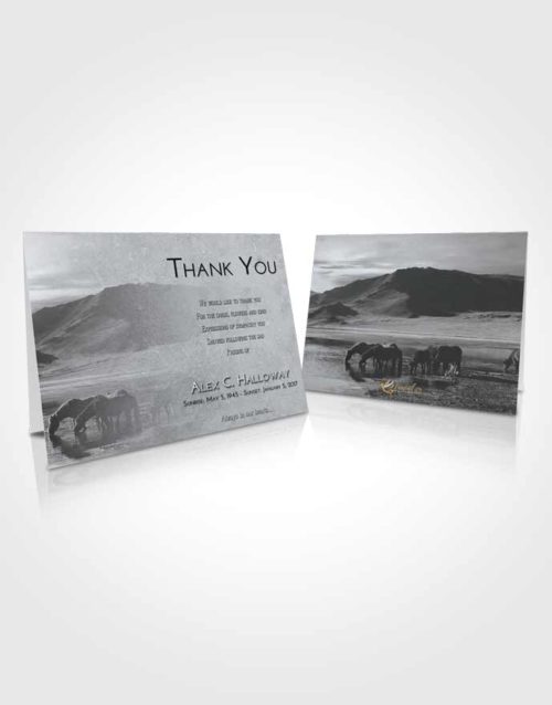 Funeral Thank You Card Template Freedom Watering Hole