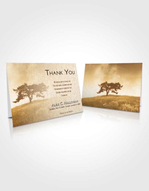 Funeral Thank You Card Template Golden Gentle Pasture