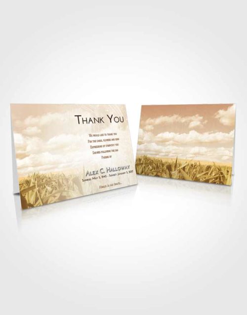 Funeral Thank You Card Template Golden Grassland