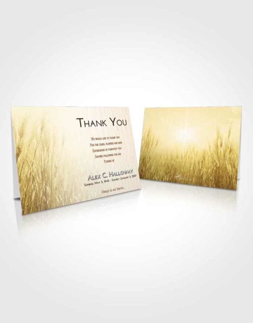 Funeral Thank You Card Template Golden Soft Wheat