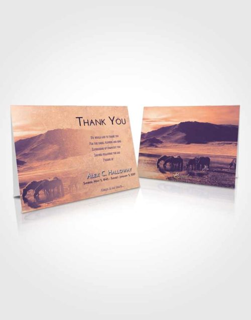 Funeral Thank You Card Template Lavender Sunset Watering Hole