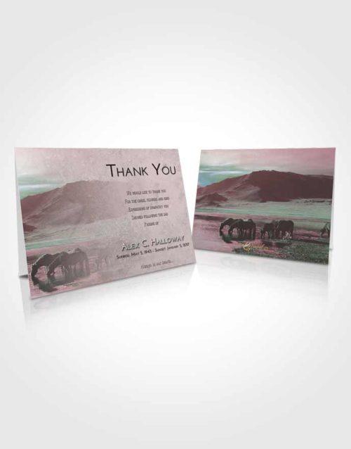 Funeral Thank You Card Template Morning Watering Hole