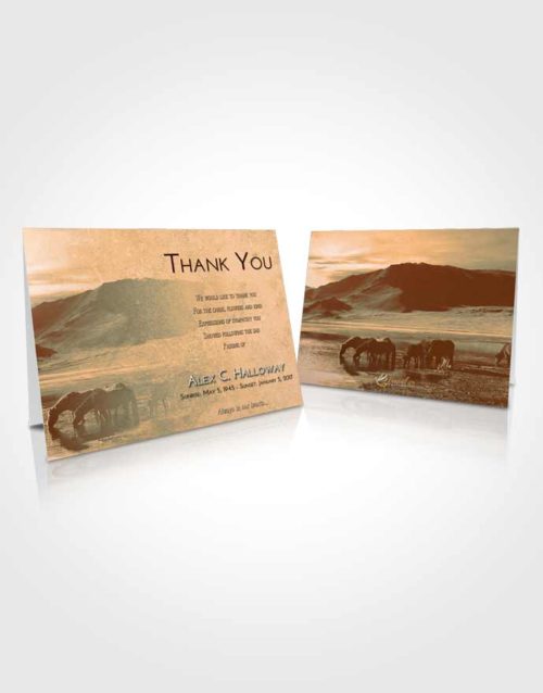 Funeral Thank You Card Template Soft Dusk Watering Hole