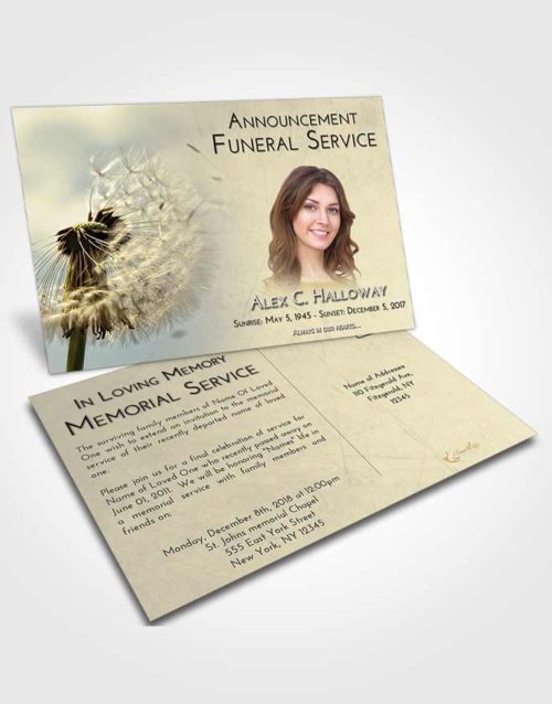 Funeral Announcement Card Template At Dusk Dandelion Dream