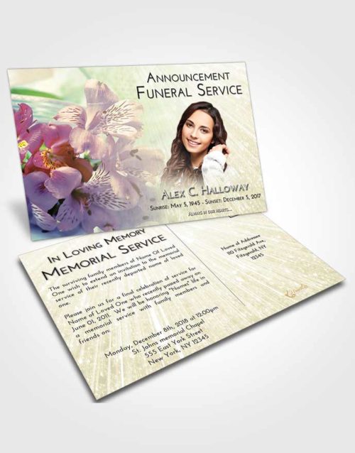 Funeral Announcement Card Template At Dusk Floral Magic