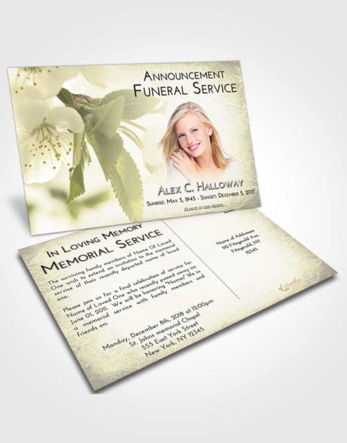 Funeral Announcement Card Template At Dusk Flower of the Plume