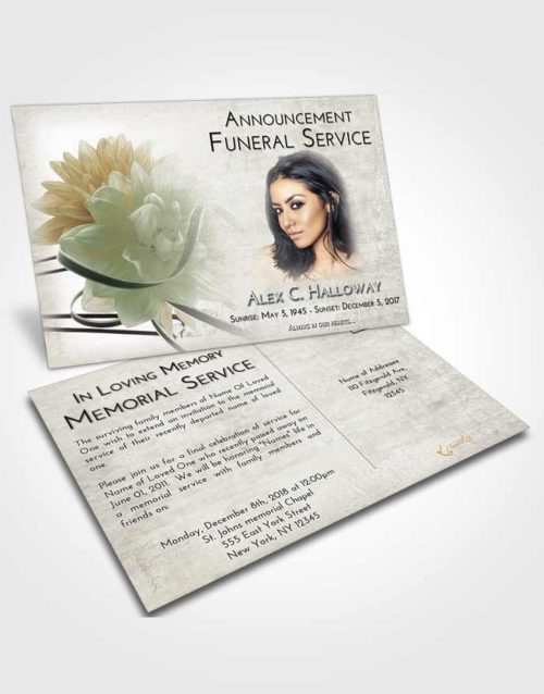 Funeral Announcement Card Template Evening Floral Dream