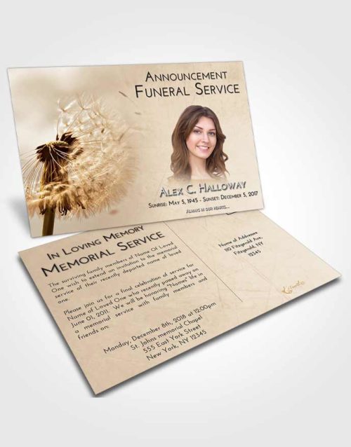 Funeral Announcement Card Template Golden Peach Dandelion Dream