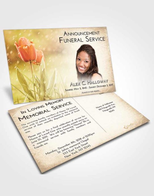 Funeral Announcement Card Template Golden Peach Tulip Whisper