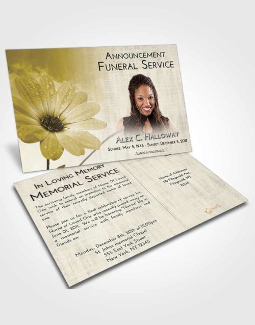 Funeral Announcement Card Template Harmony Floral Raindrops