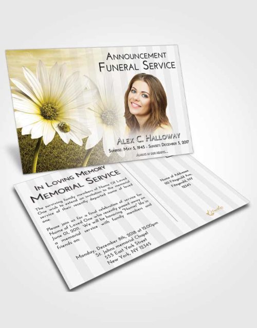 Funeral Announcement Card Template Harmony Summer Flower