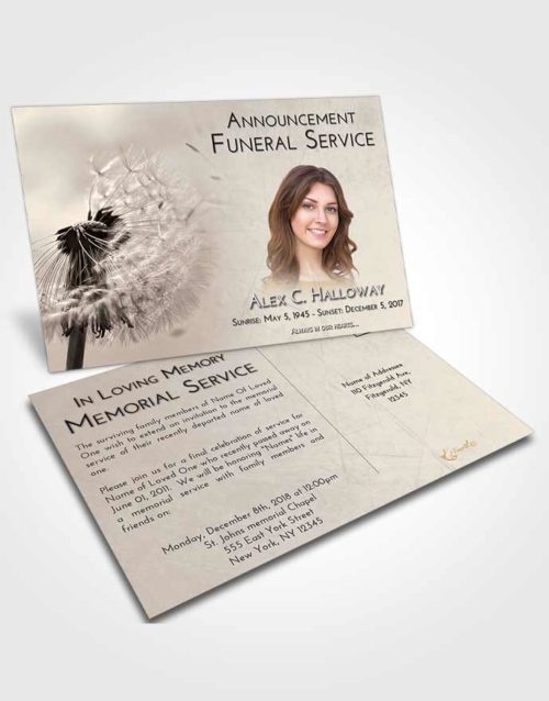 Funeral Announcement Card Template Tranquil Dandelion Dream