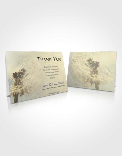 Funeral Thank You Card Template At Dusk Dandelion Dream