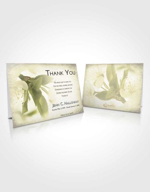Funeral Thank You Card Template At Dusk Flower of the Plume