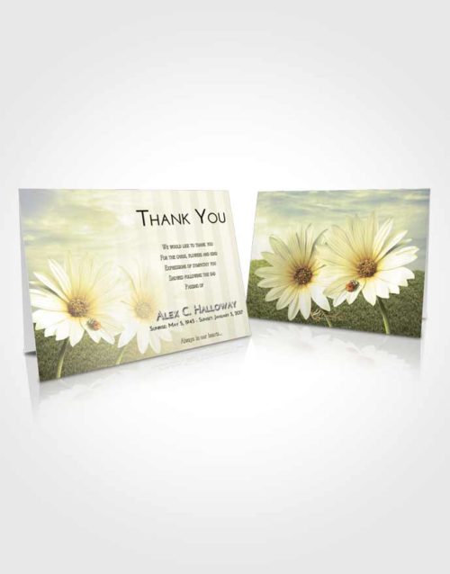 Funeral Thank You Card Template At Dusk Summer Flower