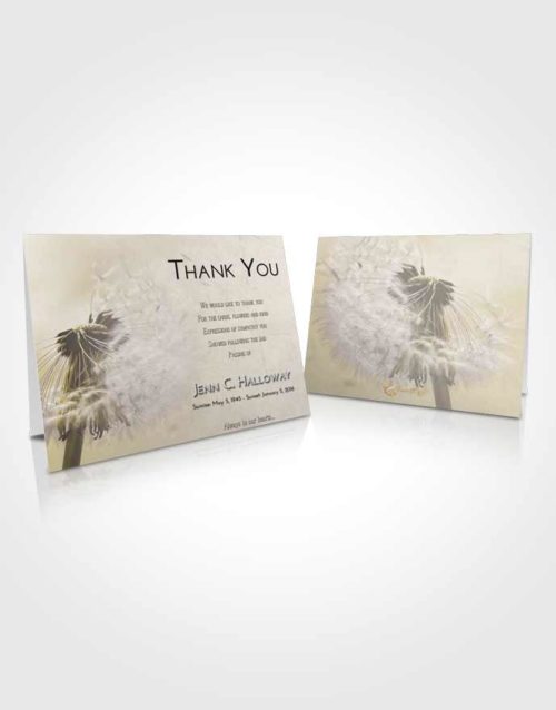 Funeral Thank You Card Template Harmony Dandelion Dream