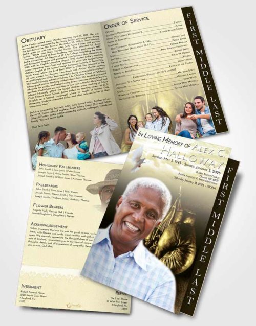 2 Page Graduated Step Fold Funeral Program Template Brochure At Dusk Boxing Serenity