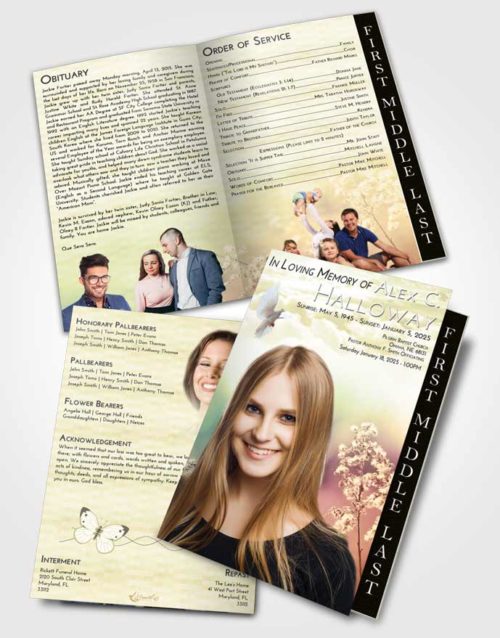 2 Page Graduated Step Fold Funeral Program Template Brochure At Dusk Colorful Spring