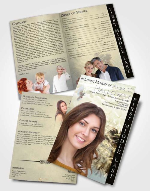 2 Page Graduated Step Fold Funeral Program Template Brochure At Dusk Dandelion Dream