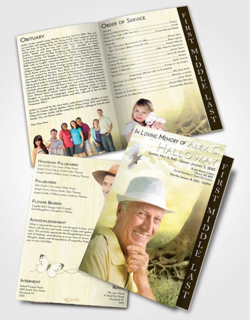 2 Page Graduated Step Fold Funeral Program Template Brochure At Dusk Deep Roots