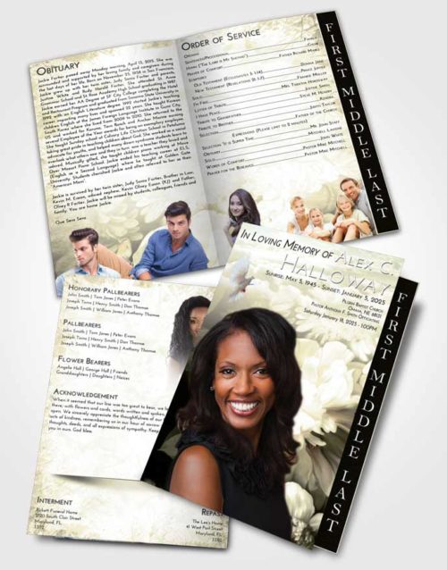 2 Page Graduated Step Fold Funeral Program Template Brochure At Dusk Floral Mist