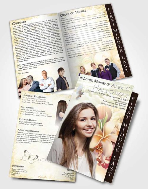 2 Page Graduated Step Fold Funeral Program Template Brochure At Dusk Floral Wish
