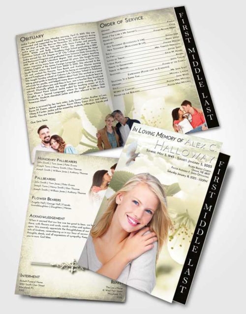 2 Page Graduated Step Fold Funeral Program Template Brochure At Dusk Flower of the Plume