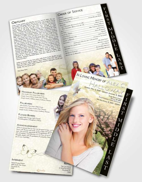 2 Page Graduated Step Fold Funeral Program Template Brochure At Dusk Flowering Path