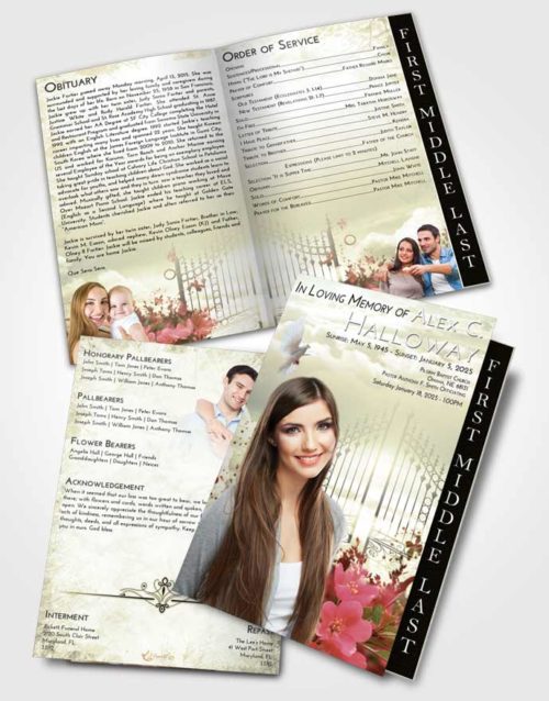 2 Page Graduated Step Fold Funeral Program Template Brochure At Dusk Flowery Gates to Heaven