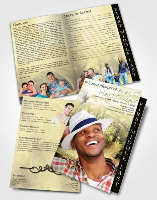 2 Page Graduated Step Fold Funeral Program Template Brochure At Dusk Forest Bridge