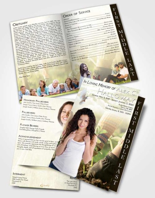 2 Page Graduated Step Fold Funeral Program Template Brochure At Dusk Gardening Star