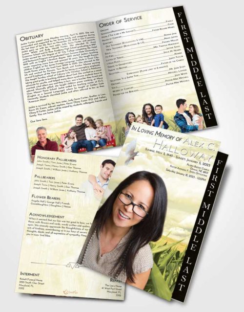 2 Page Graduated Step Fold Funeral Program Template Brochure At Dusk Grassland