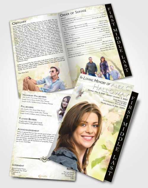 2 Page Graduated Step Fold Funeral Program Template Brochure At Dusk Heavenly Flowers