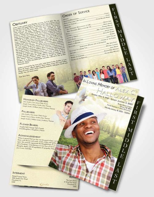 2 Page Graduated Step Fold Funeral Program Template Brochure At Dusk National Park