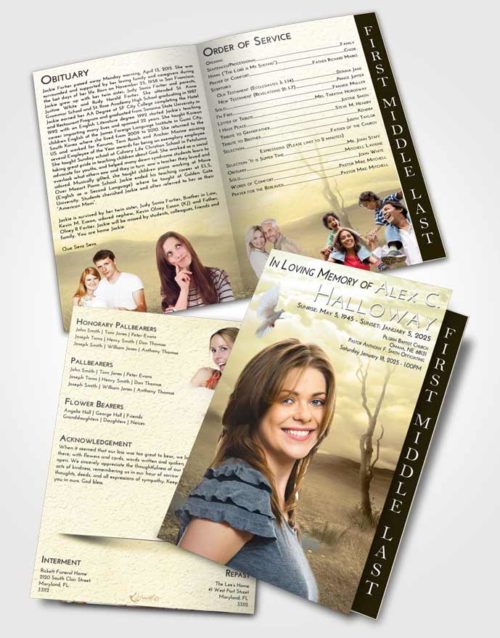 2 Page Graduated Step Fold Funeral Program Template Brochure At Dusk Peaceful Fall