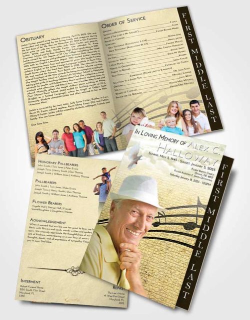 2 Page Graduated Step Fold Funeral Program Template Brochure At Dusk Portamento