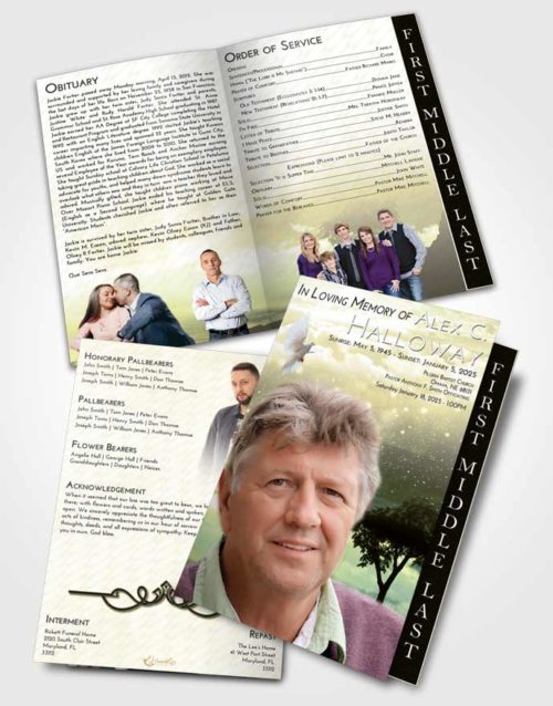 2 Page Graduated Step Fold Funeral Program Template Brochure At Dusk Scenic Sky