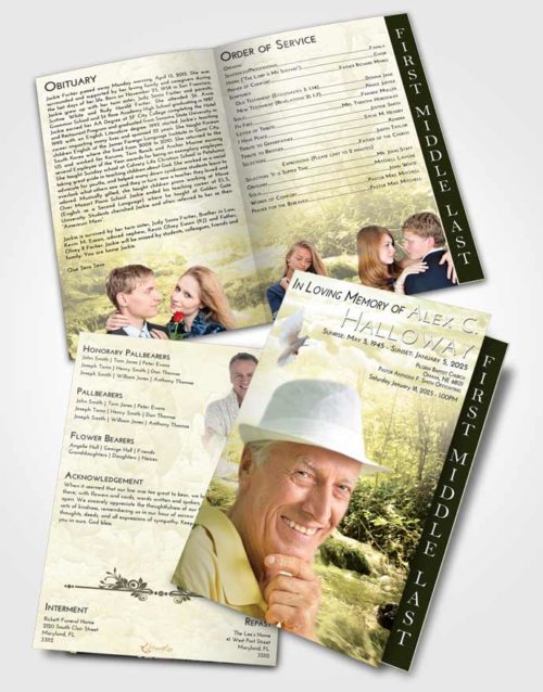 2 Page Graduated Step Fold Funeral Program Template Brochure At Dusk Silver Stream
