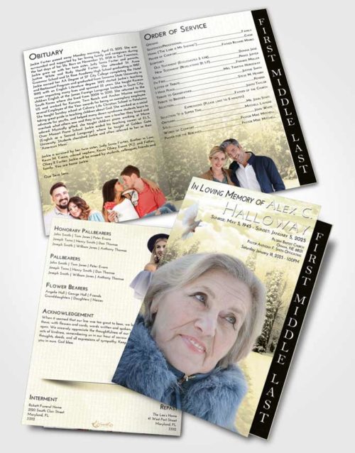 2 Page Graduated Step Fold Funeral Program Template Brochure At Dusk Snow Garden