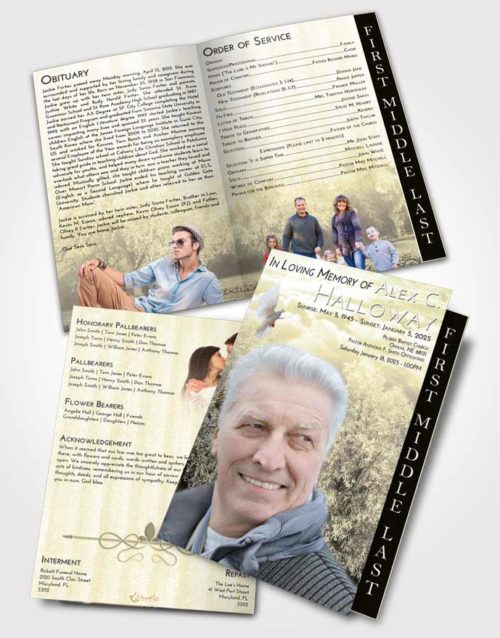 2 Page Graduated Step Fold Funeral Program Template Brochure At Dusk Snowy Love