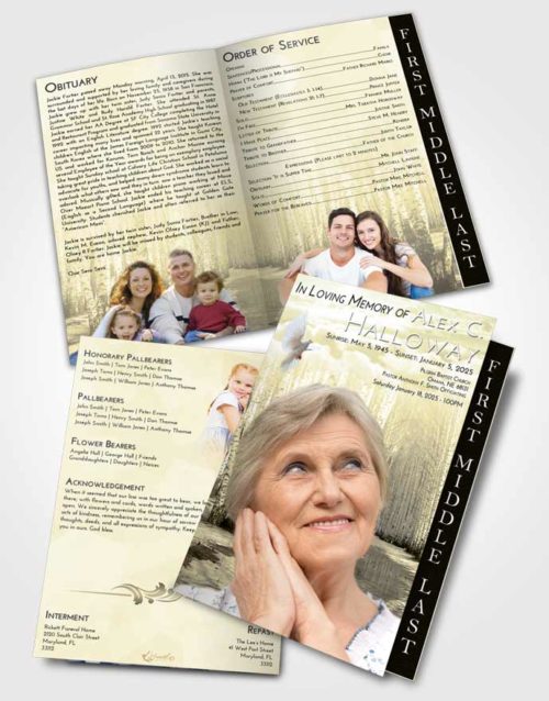 2 Page Graduated Step Fold Funeral Program Template Brochure At Dusk Snowy Stream