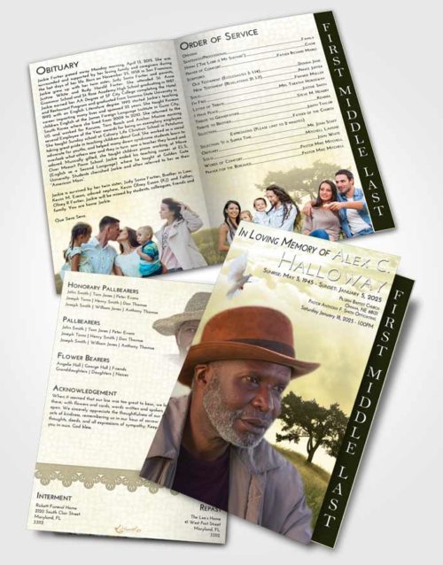 2 Page Graduated Step Fold Funeral Program Template Brochure At Dusk Solumn Tree