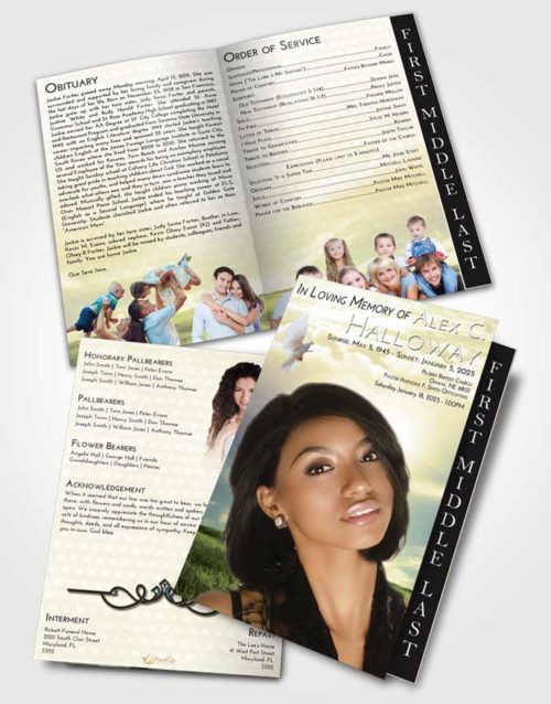 2 Page Graduated Step Fold Funeral Program Template Brochure At Dusk Summer Fields