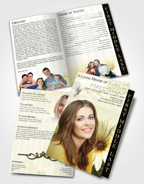 2 Page Graduated Step Fold Funeral Program Template Brochure At Dusk Summer Flower