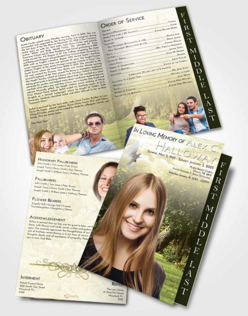2 Page Graduated Step Fold Funeral Program Template Brochure At Dusk Summer Forest