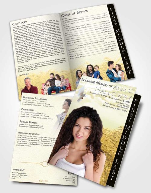 2 Page Graduated Step Fold Funeral Program Template Brochure At Dusk Summer Wheat