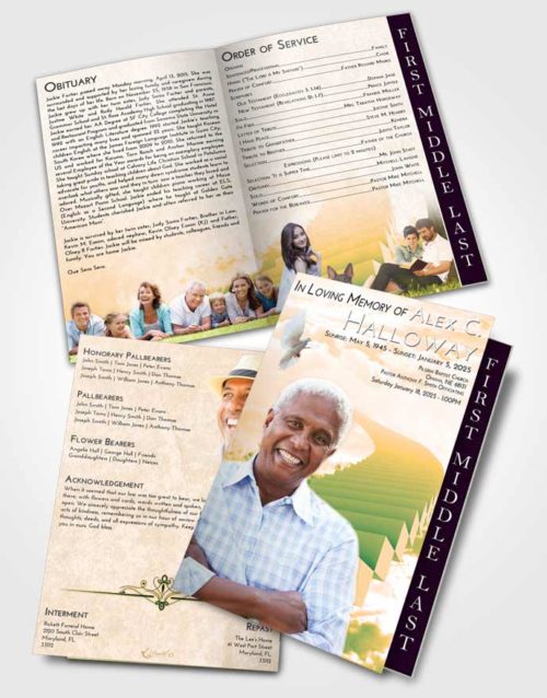 2 Page Graduated Step Fold Funeral Program Template Brochure Emerald Serenity Stairway to Divinity